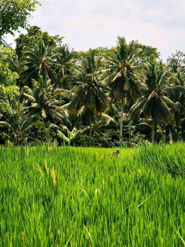 Soulful Slow Days in Ubud, Bali