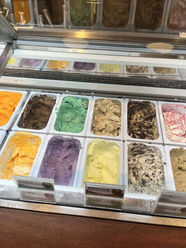 오키나와 블루씰에서 맛나는 젤라또 먹자 🍦🍦🍧