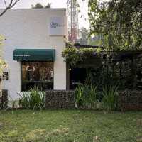 Little Contrast Cafe