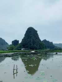 A Hidden Gem - Ninh Nhat