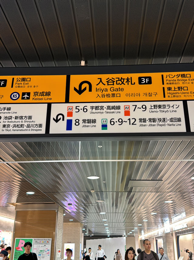 Saitama Solo Trip for Treasure concert!💎