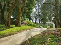 Tree Huggers’ Paradise at Shekvetili Dendrological Park