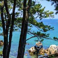 Chotdaebawi Rock: Korea’s Most Thrilling Sunrise Spot – A Solo Hiker’s Pilgrimage"** 🌄🧗