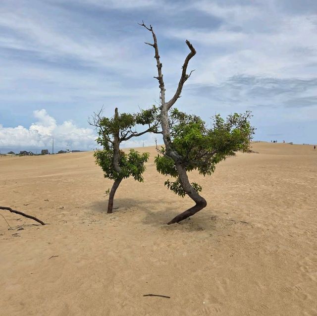 Jockey’s Ridge State Park – Nags Head