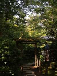 【南禅寺】水路閣と禅の静寂に癒される🍂京都の奥深さに触れる旅