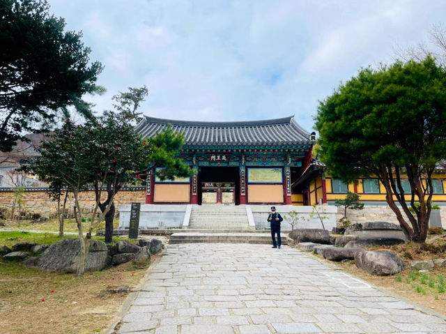 梵魚寺夏日散策｜綠意中的寧靜古剎