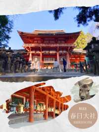 【京都・奈良】和モダンなホテルを拠点に、ゆったり大人旅。