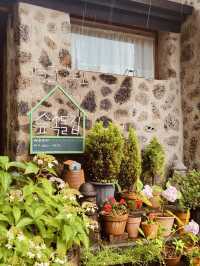 A Serene Outdoor Gallery Amidst Lush Nature