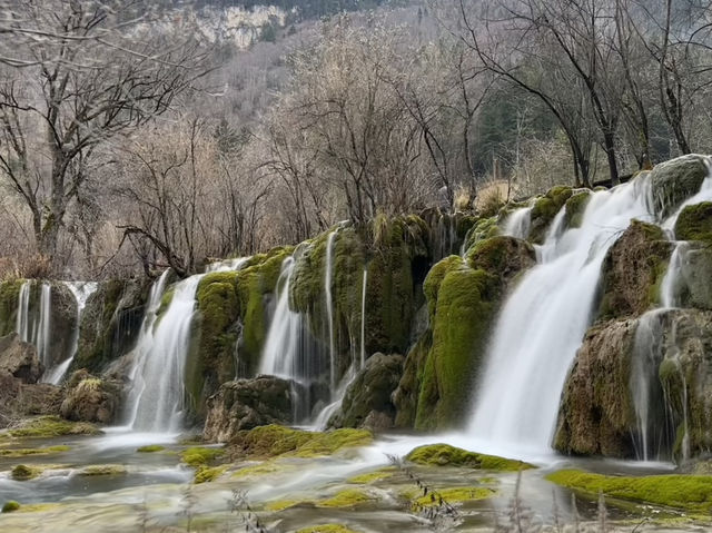 Earthquake’s Epilogue: The Phantom Forests Of Jiuzhaigou’s Most Unstable Waters 