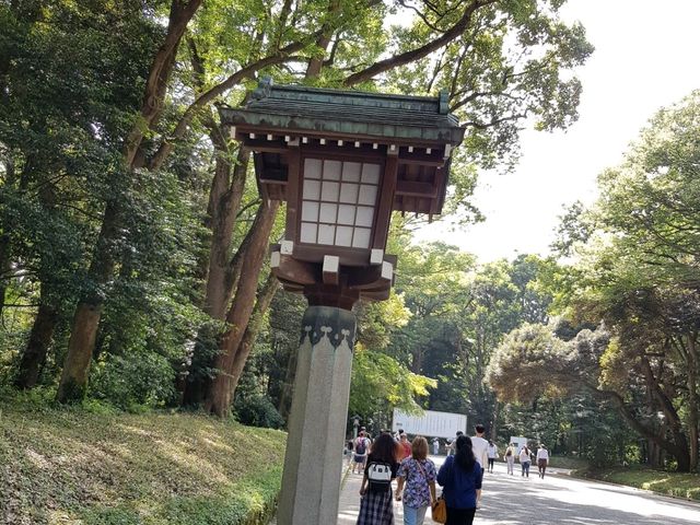 วัดเมจิ (Meiji Jingu) – ศาลเจ้าศักดิ์สิทธิ์