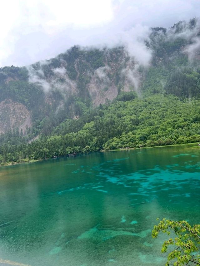 Peacock Lake in Sichuan, Nature Showing Off a Little