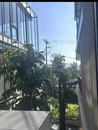 🍽️ 5Kitchen Bali 솔직 후기 🥗