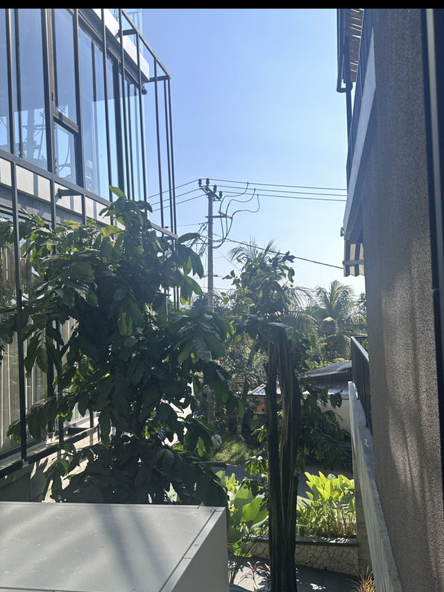 🍽️ 5Kitchen Bali 솔직 후기 🥗