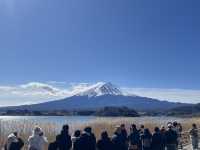富士山大石公園