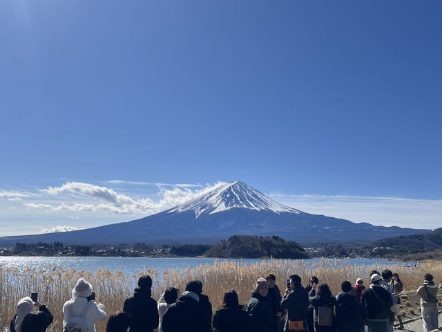 富士山大石公園