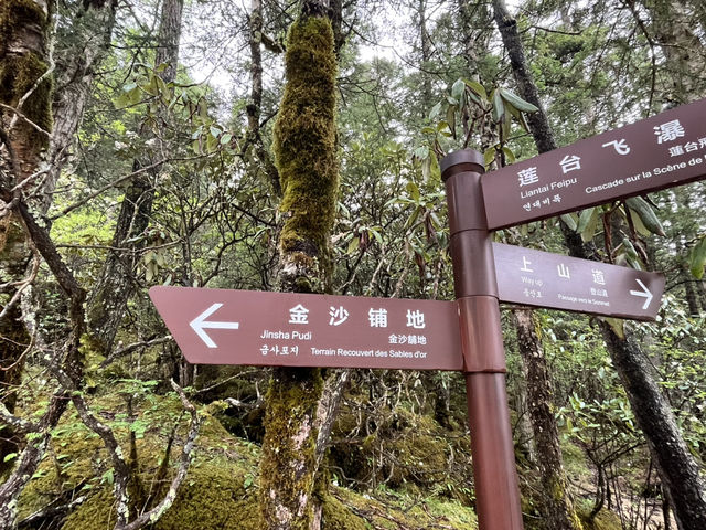 🐉 Huanglong Scenic Area 黄龙风景区 | China’s Fairyland in the Mountains
