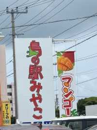【沖縄県・宮古島】宮古島でお土産買うならここ🛍️
