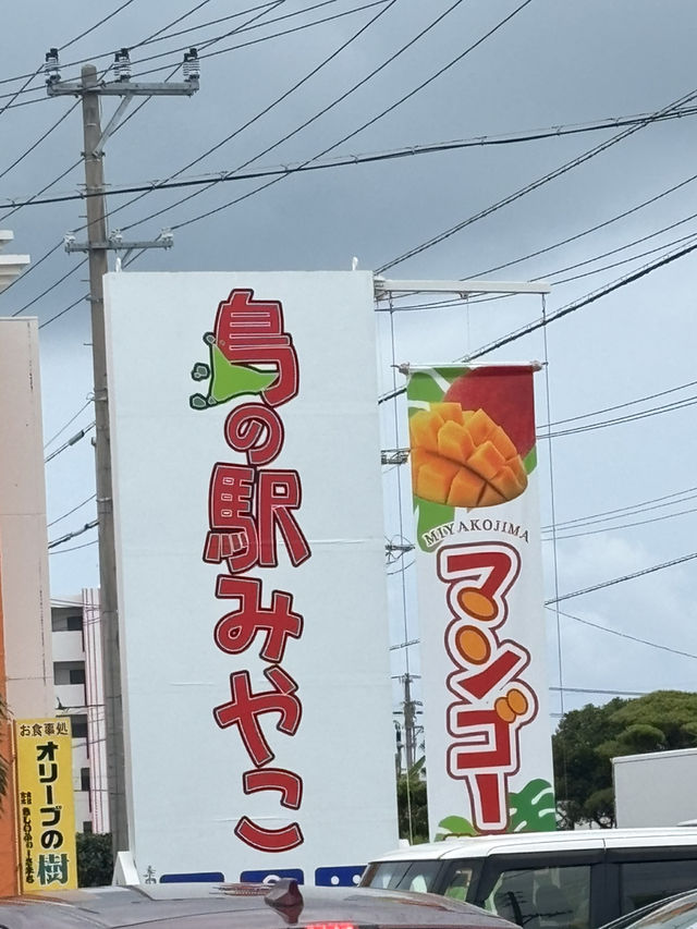 【沖縄県・宮古島】宮古島でお土産買うならここ🛍️