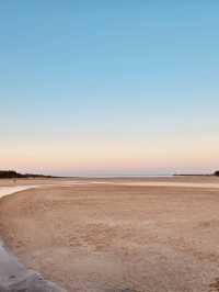 A Beach of Textures and Surprises