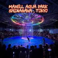 Maxell Aqua Park Shinagawa 🐡🐠🐟