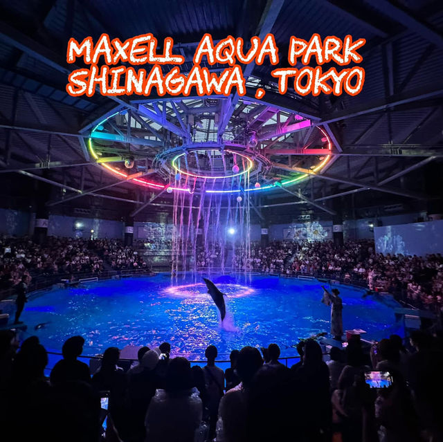 Maxell Aqua Park Shinagawa 🐡🐠🐟