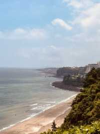 Loggerhead Nesting Ground with Local Flavor