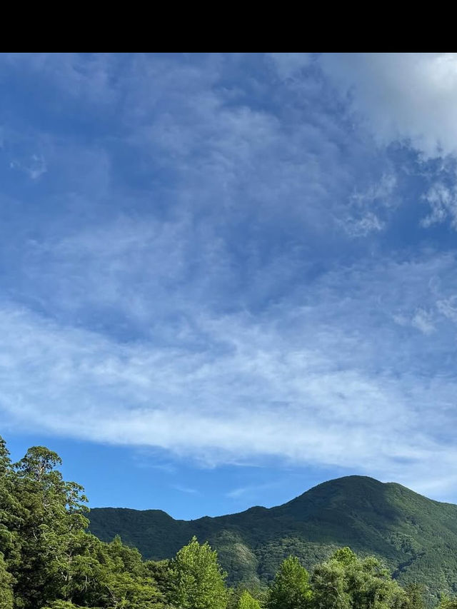 朝霧に包まれる幻想の湖、金鱗湖で心洗われるひととき🌫️ 朝霧に包まれる幻想の湖、金鱗湖で心洗われるひととき🌫️