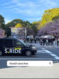 3 พิกัดดูซากุระบานที่ Ueno 🌸