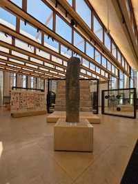 Creative Curiosities and Ocean Vibes at Mureco Museum