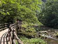 🍃 Zhangjiajie National Forest Park: A Breath of Fresh Air! ⛰️