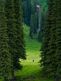Pastures of Paradise: The Untamed Beauty of Ili