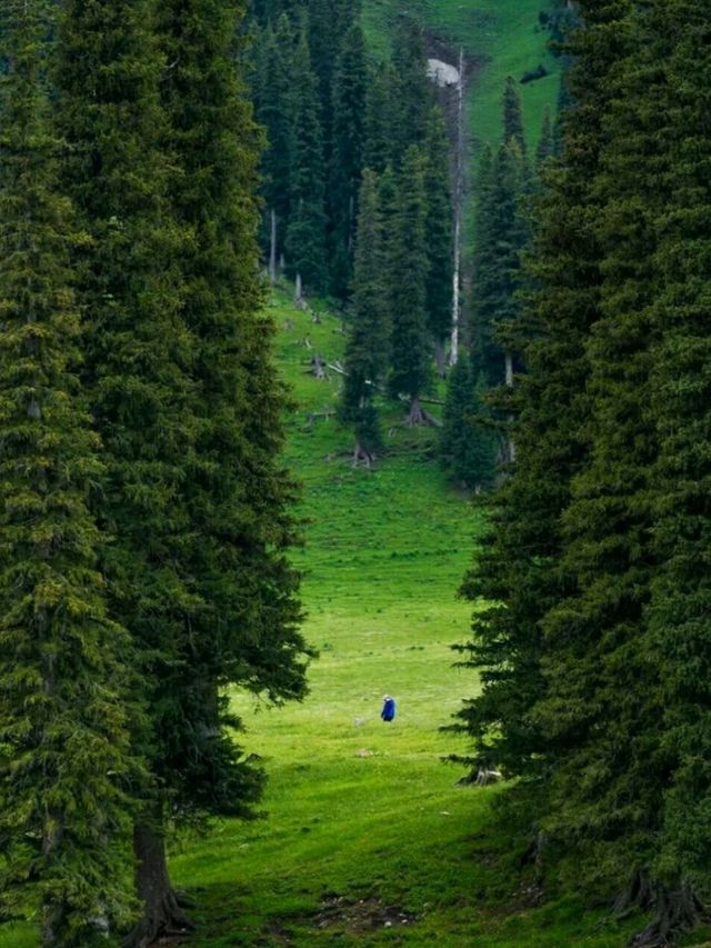 Pastures of Paradise: The Untamed Beauty of Ili