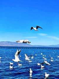 Mirror of the Clouds: Dali’s Erhai Lake