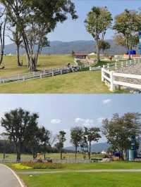 สวนสาธารณะอบจ.เชียงใหม่⛰️🌳