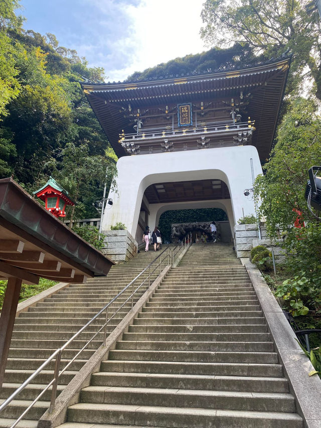 Tides of Tranquility: A Daydream in Enoshima Tides of Tranquility: A Daydream in Enoshima