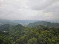 🐼 Explore Taipei Zoo: Asia’s Largest Urban Wildlife Park and Maokong gondola