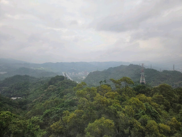 🐼 Explore Taipei Zoo: Asia’s Largest Urban Wildlife Park and Maokong gondola 🐼 Explore Taipei Zoo: Asia’s Largest Urban Wildlife Park and Maokong gondola