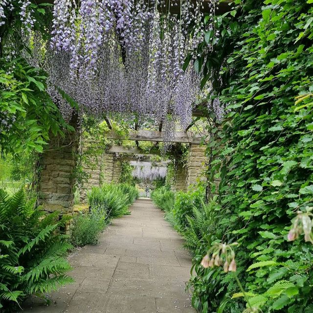 Winterbourne House & Garden