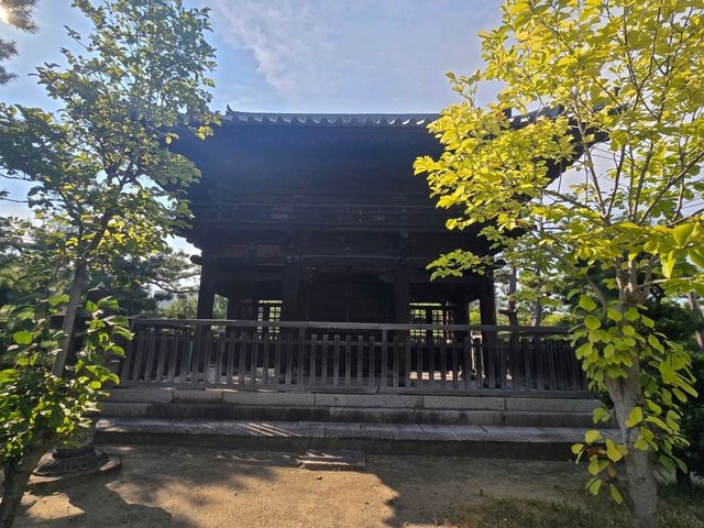 【大阪】堺市　南宗寺