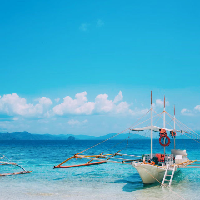 自然体験🌊🏝️