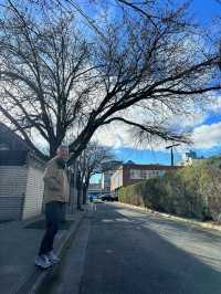 澳洲阿得雷德、墨爾本+新加坡親子遊