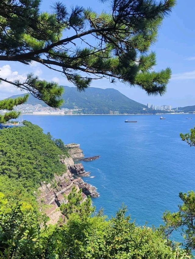 搭松島纜車飽覽松島海景