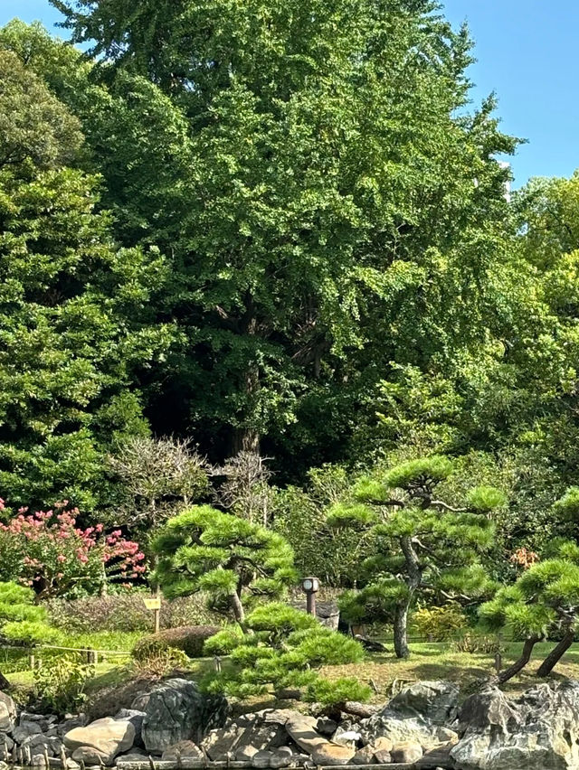 Kiyosumi Gardens: A Tranquil Japanese Garden in Tokyo