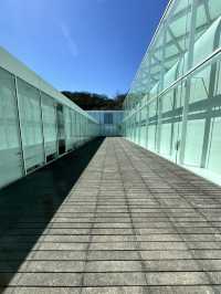 🏛 横須賀美術館（Yokosuka Museum of Art）