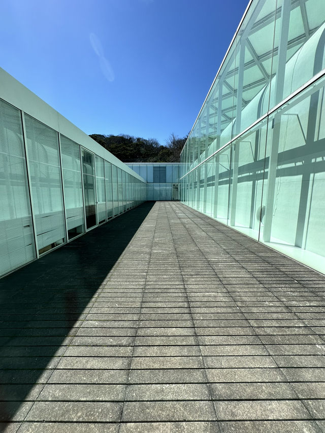 🏛 横須賀美術館（Yokosuka Museum of Art）