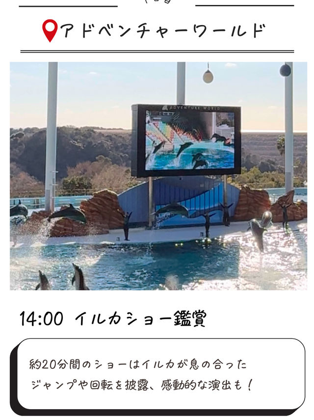 1泊2日子連れ白浜おすすめ旅行プラン✨