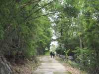 เจดีย์ขาวบนยอดเขา เส้นทางแห่งศรัทธาเหนือสายหมอก