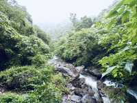 🌿「追隨水聲，一步步走進山林的心跳節奏。」