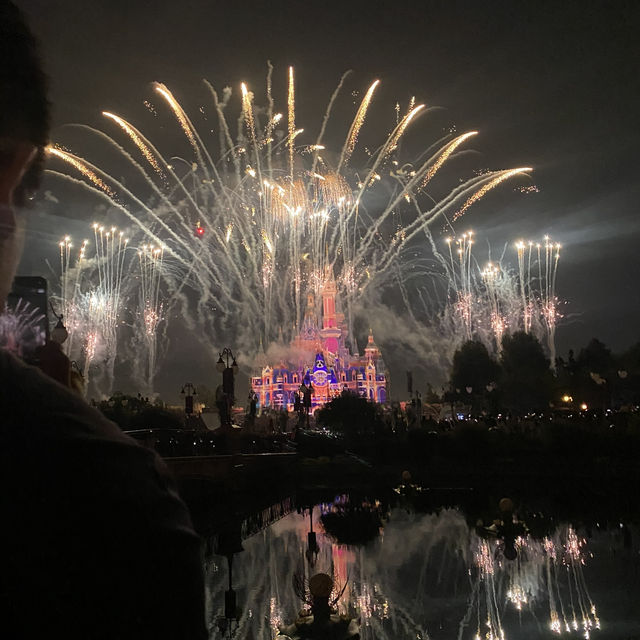 Disney Fun Awaits🎡