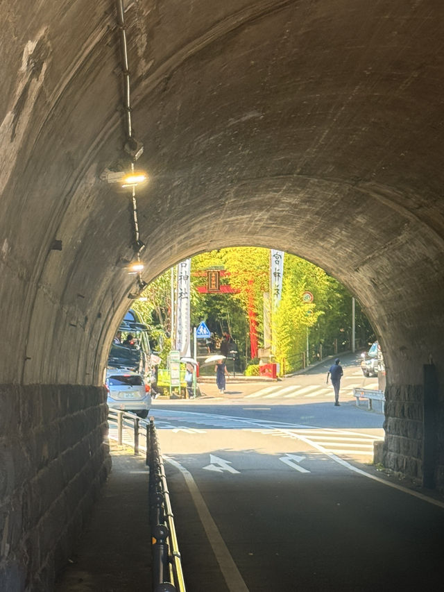 熱海｜隱身在樹林中來宮神社 繞神木一圈能延命一年傳說